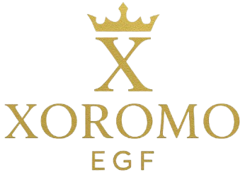 cropped-LOGO_XOROMO-removebg-preview.png